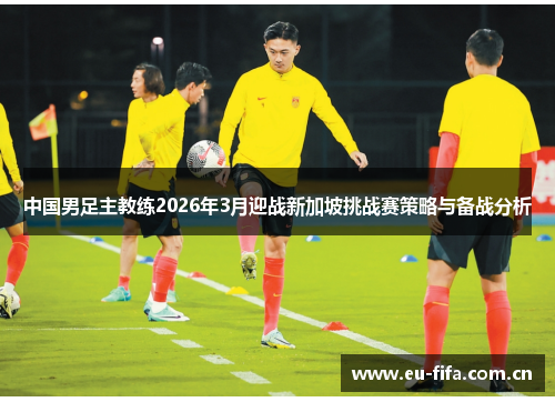 中国男足主教练2026年3月迎战新加坡挑战赛策略与备战分析